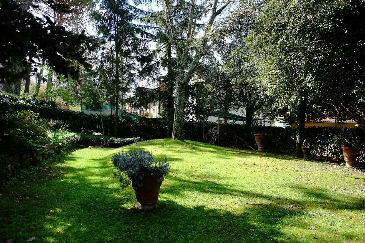 Villa Il Sorriso Bivigliano Apartment